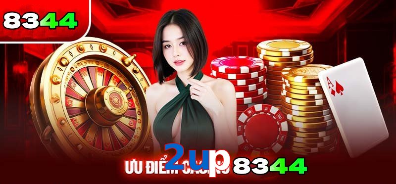 Khái quát về Casino 2up cho tân binh