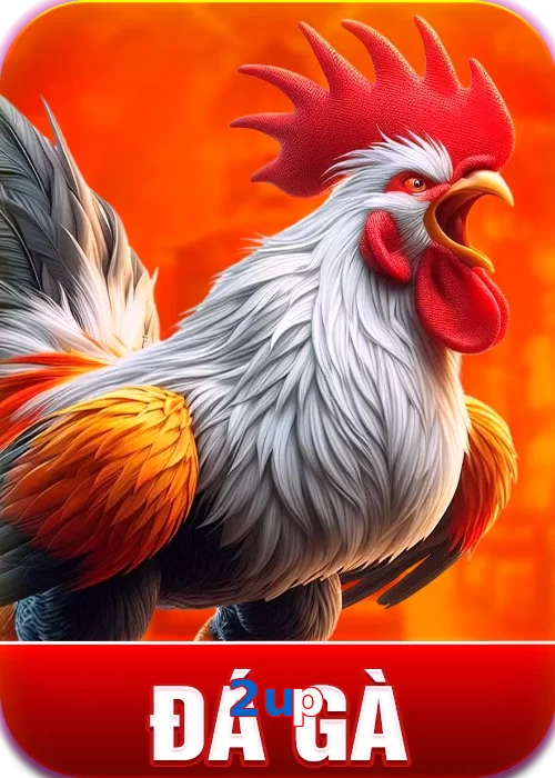 đá gà